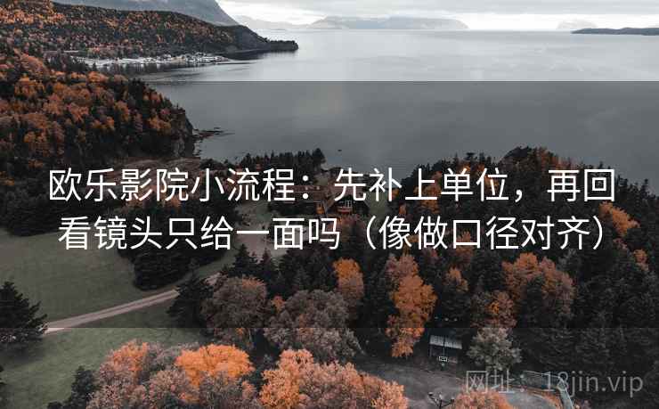欧乐影院小流程：先补上单位，再回看镜头只给一面吗（像做口径对齐）  第1张