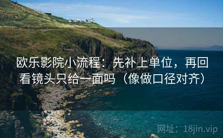欧乐影院小流程：先补上单位，再回看镜头只给一面吗（像做口径对齐）  第2张
